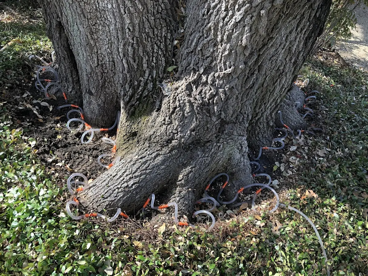 Detailed Shrub and Hedge Trimming job site in Cobb