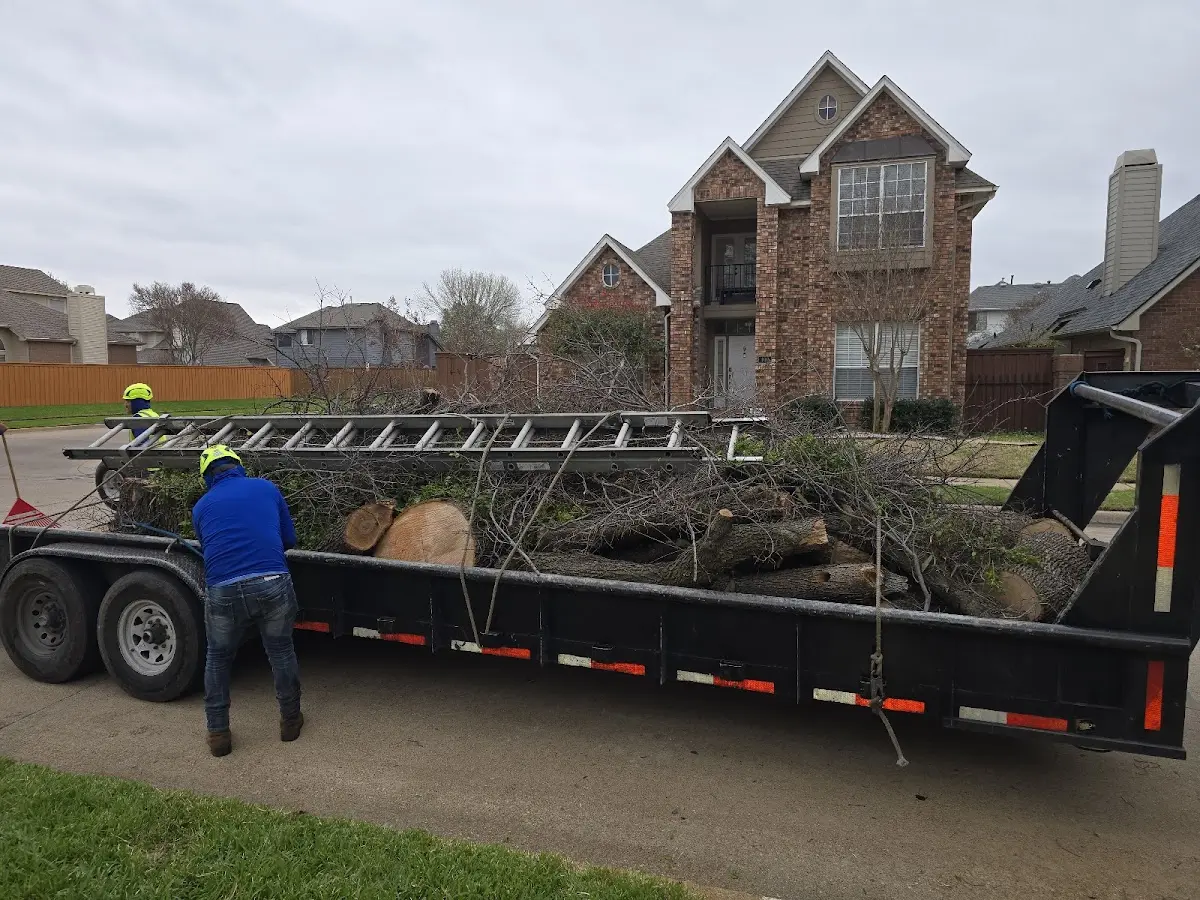 Expert Lot Clearing with proper safety equipment in Cobb